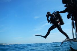 Aletli dalış (SCUBA) ve kulak burun boğaz hastalıkları