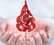 Talasemi hastalıkları