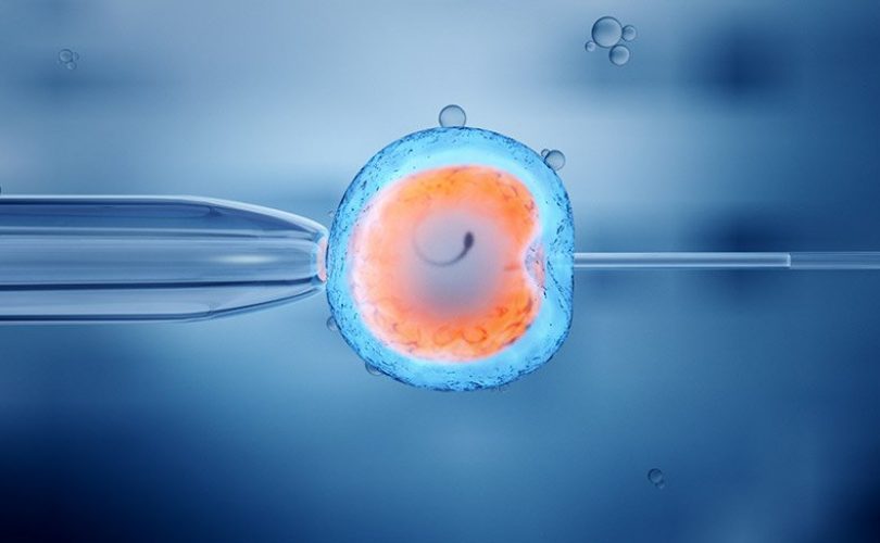 Tüp bebek teknolojileri