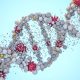CRISPR bazlı hızlandırılmış COVID-19 testleri