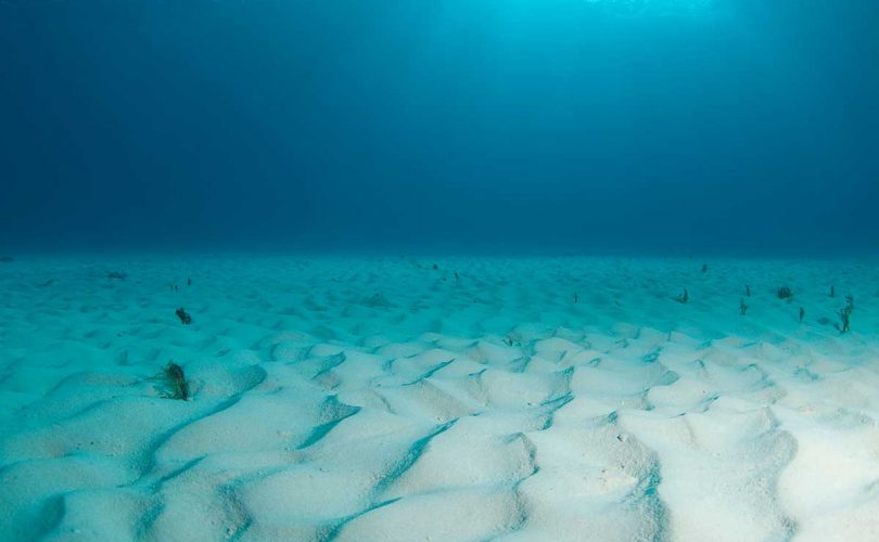 Karbondioksiti deniz tabanında depolayabilir miyiz?