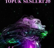 Mühendislikte Topuk Sesleri