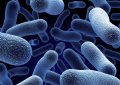 Antimikrobiyal ilaçlara direnç gösteren organizma sayısı artıyor