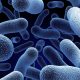Antimikrobiyal ilaçlara direnç gösteren organizma sayısı artıyor