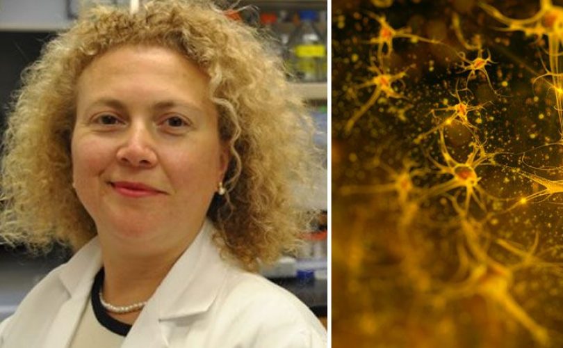 Bilim kadınımız Dr. Hande Özdinler’den ALS tedavisinde önemli keşif