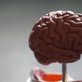 Yeni keşfedilen bir protein Alzheimer riskiyle bağlantılı