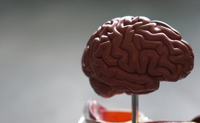 Yeni keşfedilen bir protein Alzheimer riskiyle bağlantılı