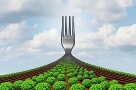 Bize ve gezegenimize iyi gelebilecek bir beslenme düzeni nasıl olmalı?