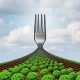 Bize ve gezegenimize iyi gelebilecek bir beslenme düzeni nasıl olmalı?