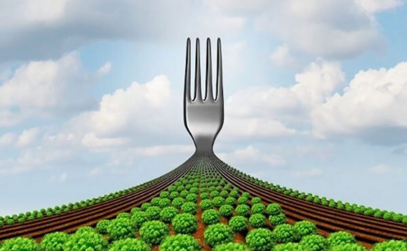 Bize ve gezegenimize iyi gelebilecek bir beslenme düzeni nasıl olmalı?