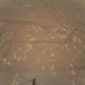 Mars’taki ilk helikopter uçuşundan yeni görüntü