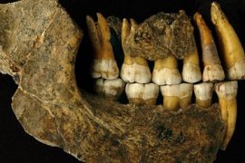 Neandertal kuzeyde sanılandan daha önce yok olmuş