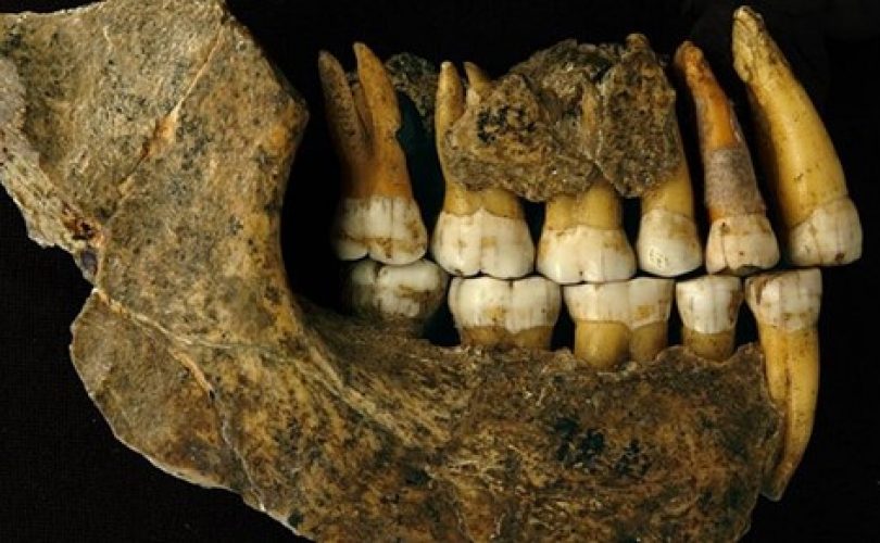 Neandertal kuzeyde sanılandan daha önce yok olmuş