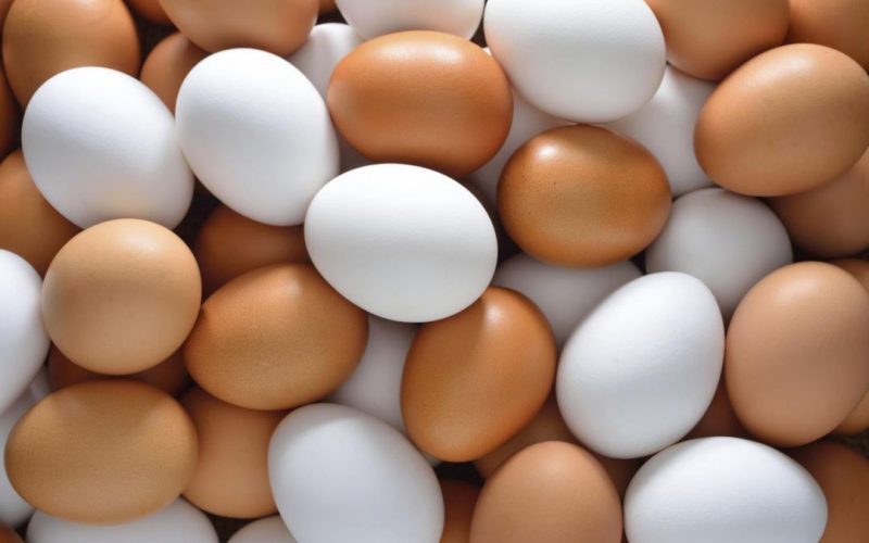 Yumurta: Eşsiz bir besin kaynağı