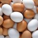 Yumurta: Eşsiz bir besin kaynağı