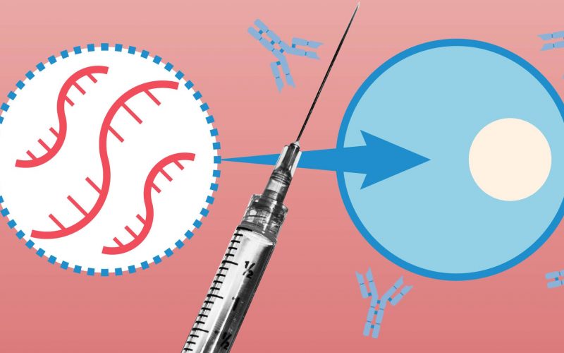 Araştırma: mRNA COVID-19 aşıları ağız ve burunda antikor üretimi sağlıyor