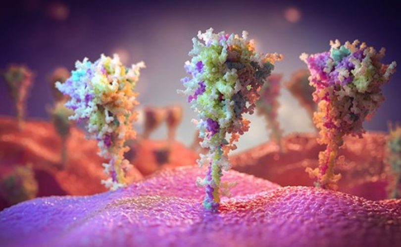 Korona aşısıyla oluşan antikorların ilk görüntüleri
