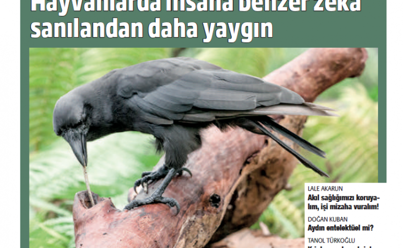 HBT Dergi 267. sayı – 6 Mayıs 2021