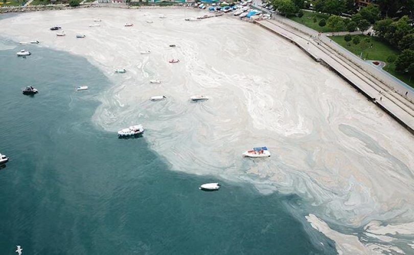 Marmara’nın tek kurtulma şansı var…