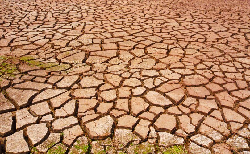 Kuraklık büyük kentleri tehdit ediyor