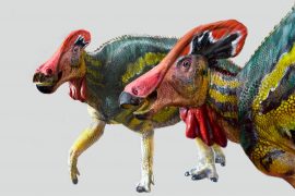 Meksika’da yeni bir dinozor türü bulundu