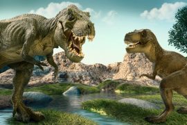 Bir zamanlar 2,5 milyar Tyrannosaurus rex yaşıyormuş