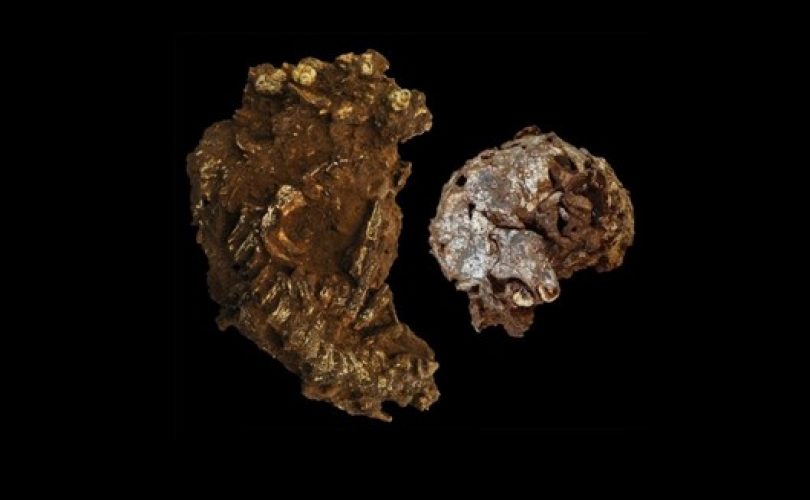 Afrika’nın en eski mezarı