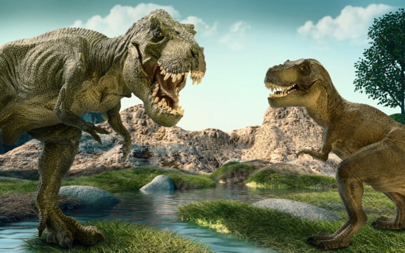 Bir zamanlar 2,5 milyar Tyrannosaurus rex yaşıyormuş