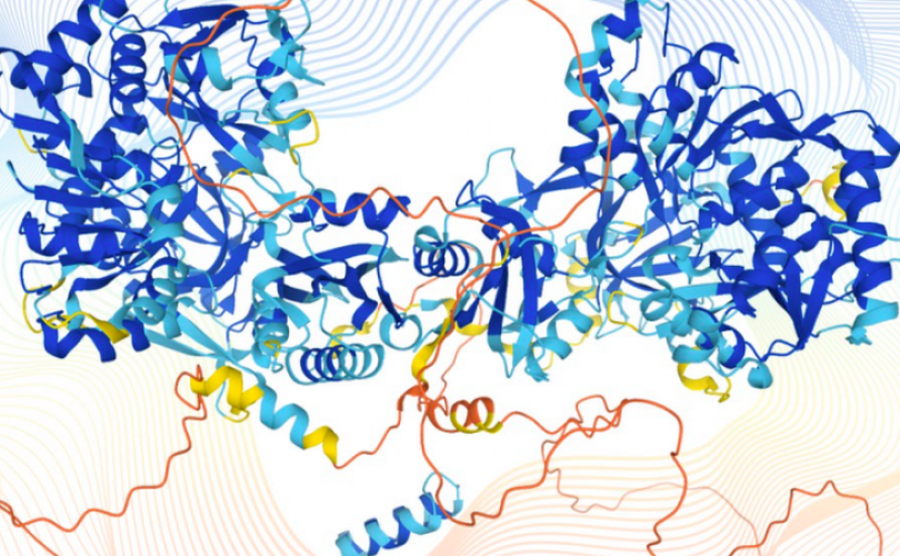 Yapay zekadaki atılım tıp alanında devrim yaratabilir