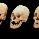 Ortaçağ dönemindeki uzun kadın kafataslarının gizemi