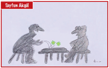 Sayı 276