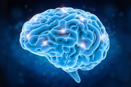 Beynimiz dinlenme evrelerinde daha hızlı öğreniyor