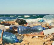 Geleceğimiz için plastikten kurtulmamız şart