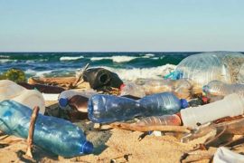Geleceğimiz için plastikten kurtulmamız şart