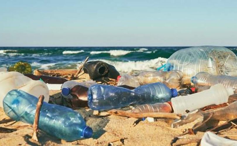 Geleceğimiz için plastikten kurtulmamız şart