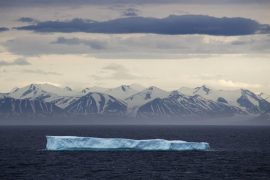 Grönland’ın zirvesine ilk kez yağmur yağdı