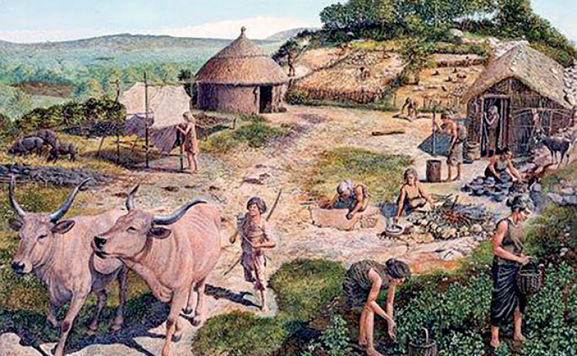 7 bin yıl önce erkek nüfusunda yaşanan azalmanın sebebi neydi?