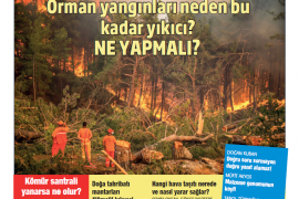 Orman yangınları niçin yıkıcı?