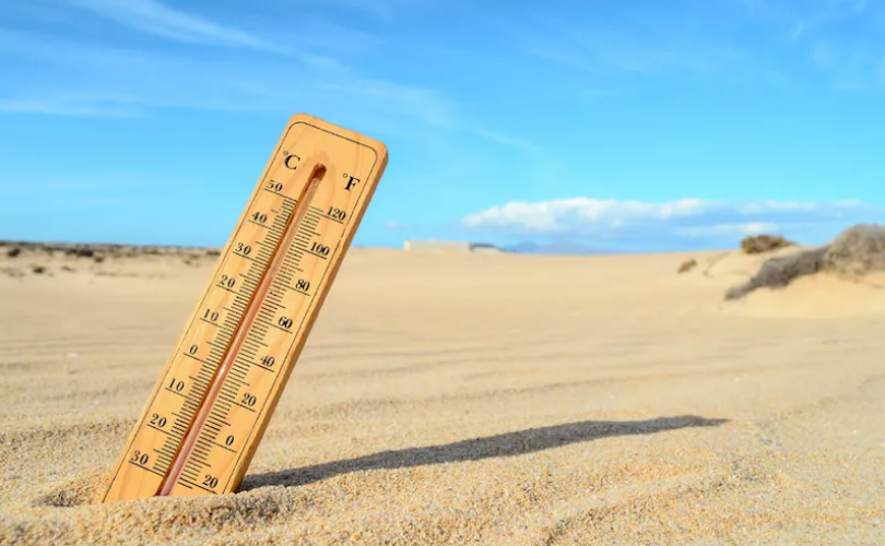 Uyum sağla ya da öl