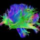 Beyin nasıl düşünce ve zihin oluşturur?