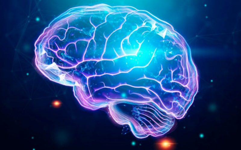 Beyin nasıl düşünce ve zihin oluşturur? – 5