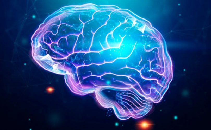 Beyin nasıl düşünce ve zihin oluşturur? – 5