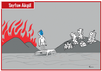 Sayı 284