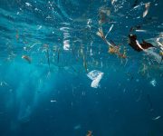 Tehlike: Denizlerden mikroplastik üretiyoruz