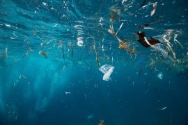 Tehlike: Denizlerden mikroplastik üretiyoruz