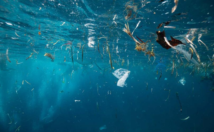 Tehlike: Denizlerden mikroplastik üretiyoruz