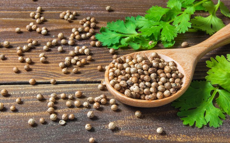 Kişniş: Doğal afrodizyak