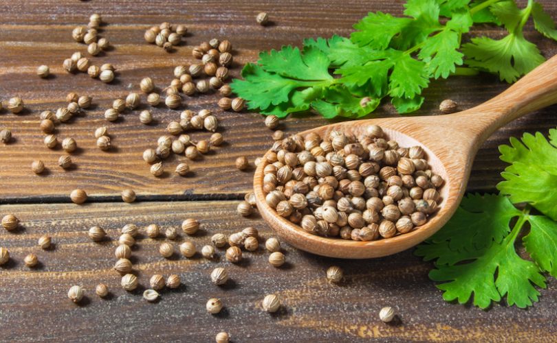 Kişniş: Doğal afrodizyak