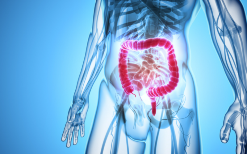 Bağırsak kanseri erkeklerde niçin daha sık görülüyor?