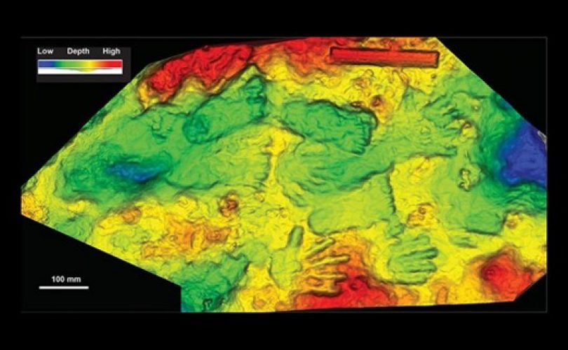 Dünyanın en eski sanatına ait izler bulundu